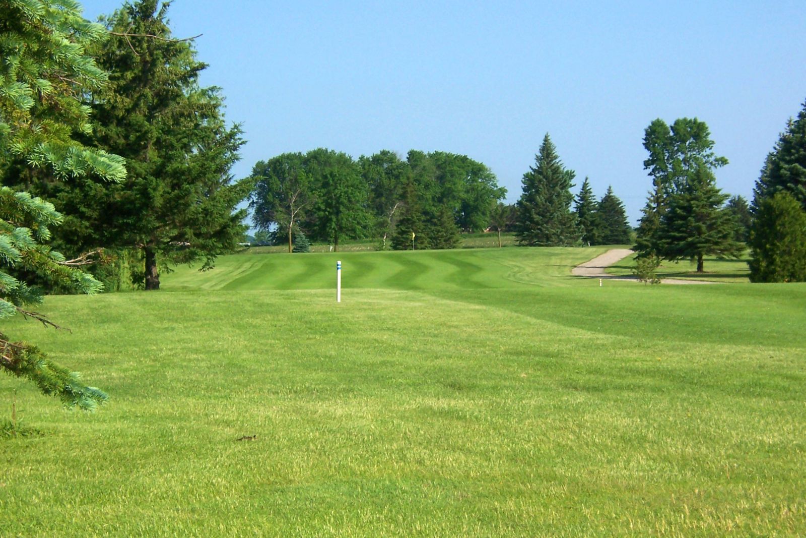 Tournaments Shamrock Golf Course